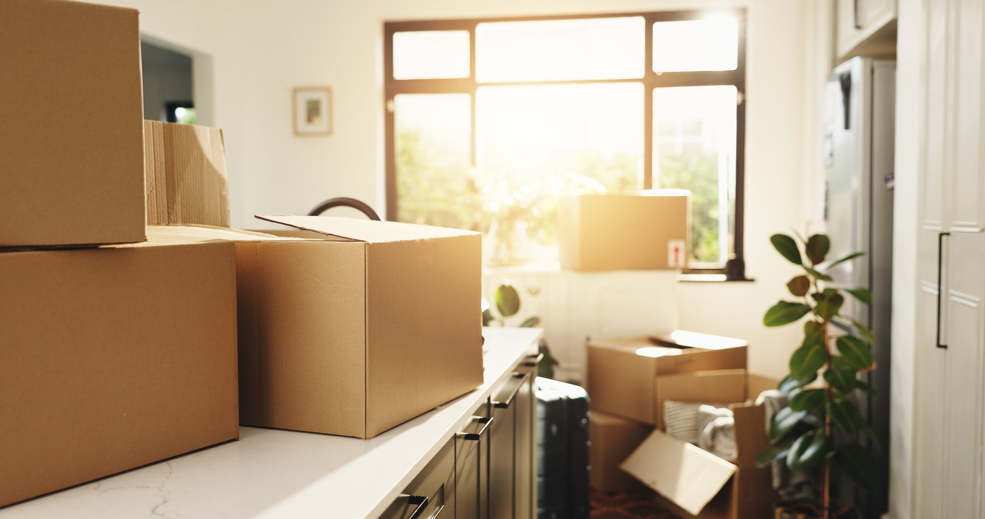 Empty home and boxes during a property clean-out and relocation