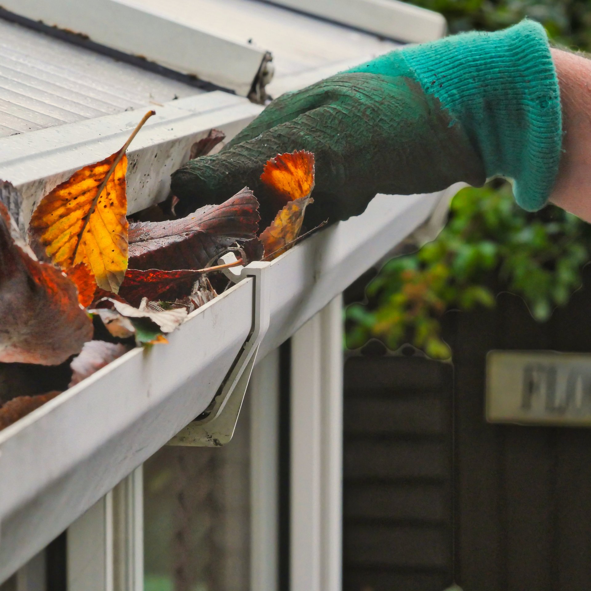 Gutter cleaning service